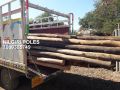 nilgiri wooden shuttering poles