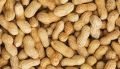 raw peanuts