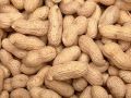 Shelled Peanuts