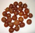 Sapindus Trifoliatus Fruit Extract