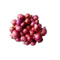 Red Small Onion