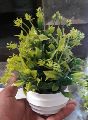Green RAJASTHANI HERBS Plastic artificial flowers plants