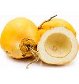 Yellow Tender Coconut