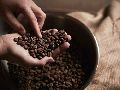 Robusta A Grade Roasted Coffee Beans