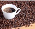 Robusta AA Grade Roasted Coffee Beans