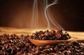 Robusta AAA Grade Roasted Coffee Beans