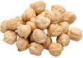 White Chickpeas