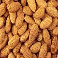 Common almond kernels