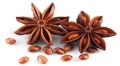star anise seeds