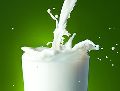 Plant Based Carbonated Milk