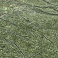 Rainforest Green Marble Slabs