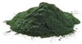Organic Inorganic Green Capsules Powder Tablets Green spirulina