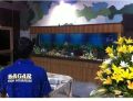 Glass Fish Aquarium