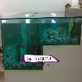 Sagar Fish Aquarium Glass Rectangular residential fish aquarium