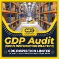 GDP Audit Services in India