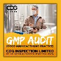 GMP Audit Services