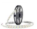 warm white smd led strip