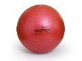 Exercise Balls - SISSEL Securemax Exercise Ball 55 Cm. - Pushpanjali medi India Pvt. Ltd.