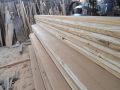 deodar wood
