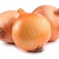 Sweet Onion