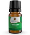 Coriander Seed Oil