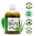 Aloe Vera Wheat Grass Juice