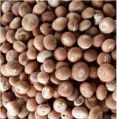 dry areca nuts/betel nuts
