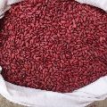 Top Quality Red Kodney Beans