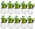 LDPE Poly Plastic GROW BAG (24&amp;times;24&amp;times;40 CM) Pack of 10 Bag
