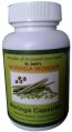 Wonder moringa capsules