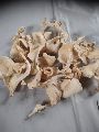 Sun Dried Oyster Mushroom