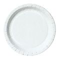 biodegradable paper plate