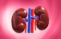 kidney transplant services