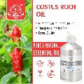 Costus Root Oil