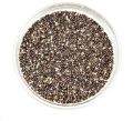 Common Black White Black and Brilliant Greyish Black and Greenish Color and Exist in Mixture of Colors. chia seeds