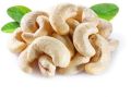 Common Light White raw cashew nuts