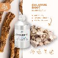 Calamus Spice Oil