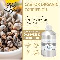 Castor Organic Carrier Oil