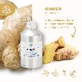 Ginger Wildcrafted Oil