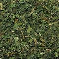 Dandelion Leaf Tea