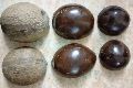 coconut shell products