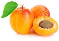 Organic Pale Yellow Fresh Apricot