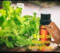 Gmo Natural Blended Liquid Basil Oil