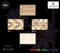 250x375mm Glossy Series Digital Wall Tiles