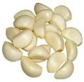 White Fresh Peeled Garlic