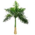 Green royal palm tree