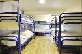 Dormitory Bunk Bed