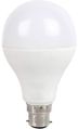 9 Watt AC/DC LED Bulb