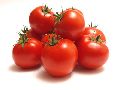 Organic Tomato