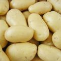 3797 Potato